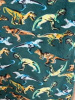 Y6 GREEN CAT&JACK DINO PJS