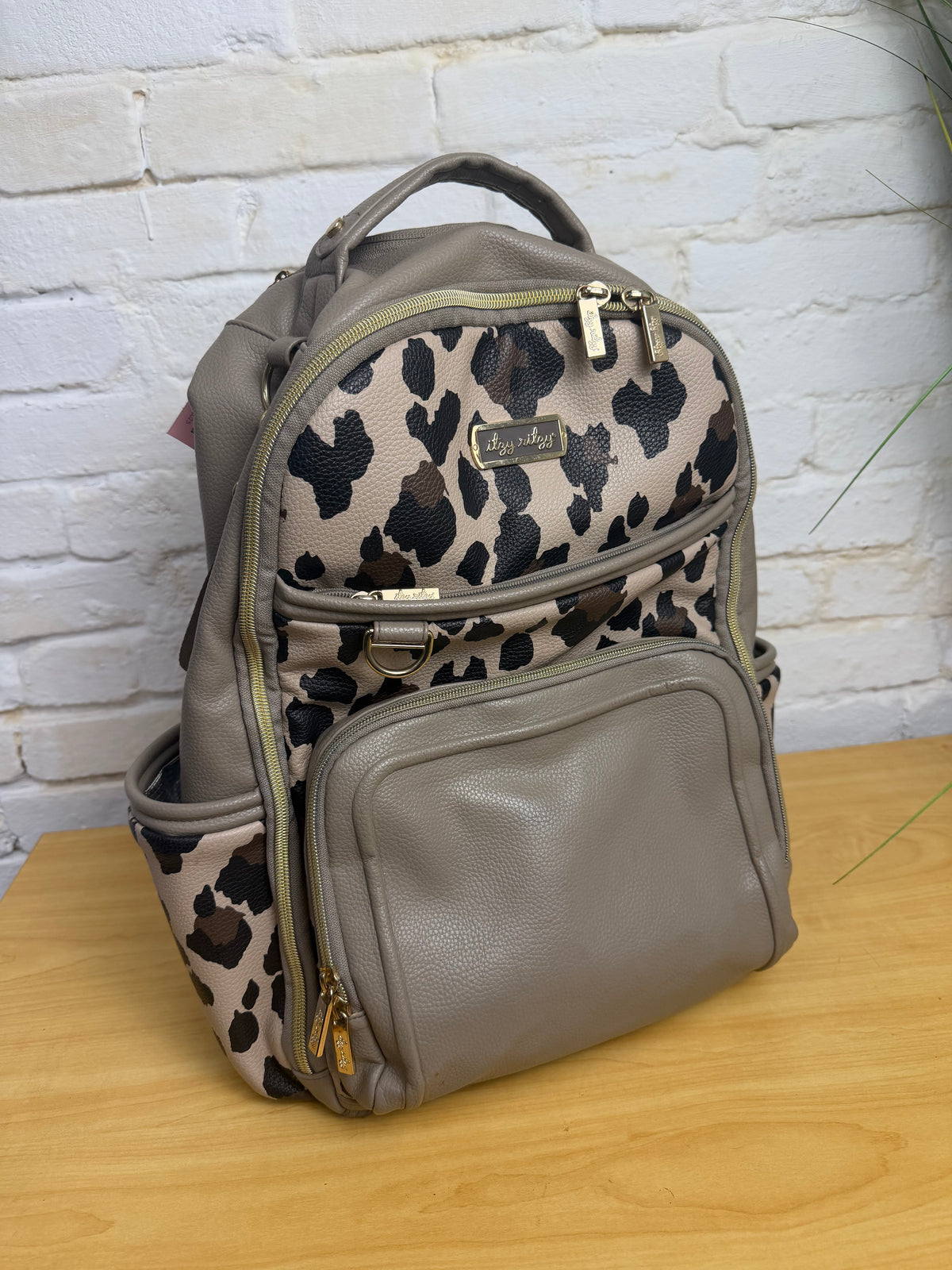 ITZY RITZY DIAPER BAG