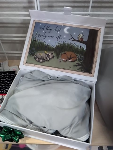 Gently Used Gray Ollie ALPHIE SLEEP SACK