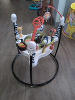MULTI FISHER PRICE ACTIVITY JUMPER